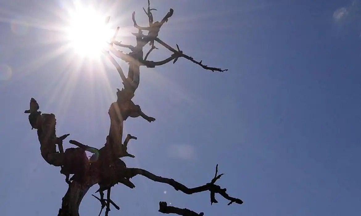 umidade do ar pode ser a mesma do deserto do Saara em 100 cidades da Paraíba