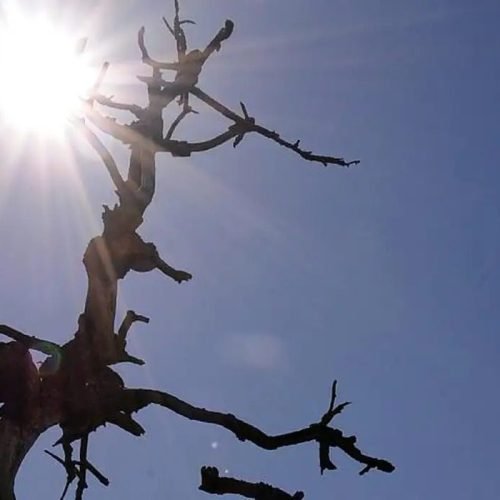 Verão na Paraíba deve ter temperaturas até 38º C; chuvas ocorrem em algumas regiões